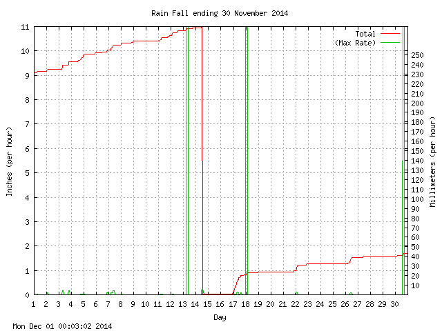 rain Graph